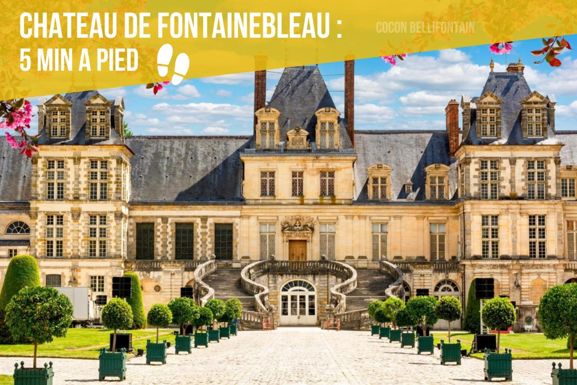 Le Cocon De Fontainebleau - Centre-Ville, Proche Insead & Chateau Esterno foto
